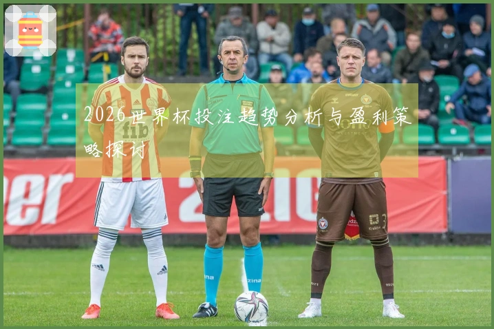 2026世界杯投注趋势分析与盈利策略探讨