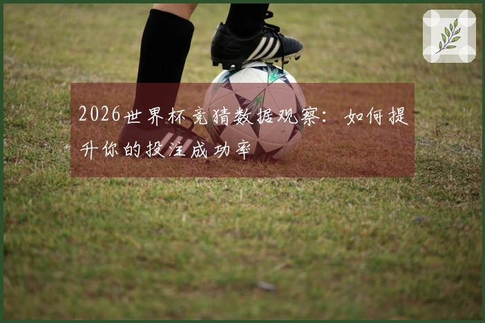 2026世界杯竞猜数据观察：如何提升你的投注成功率