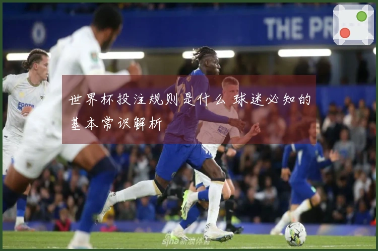 世界杯投注规则是什么 球迷必知的基本常识解析